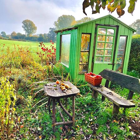 Gemuetliches Studio-Apartment In Ostseenaehe - Cosy Wulfi Probsteierhagen 外观 照片