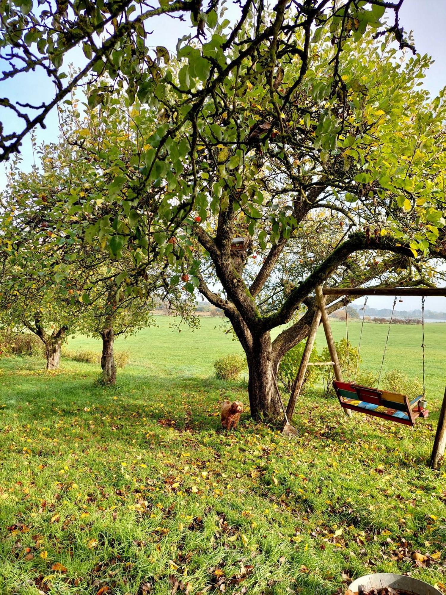 Gemuetliches Studio-Apartment In Ostseenaehe - Cosy Wulfi Probsteierhagen 外观 照片