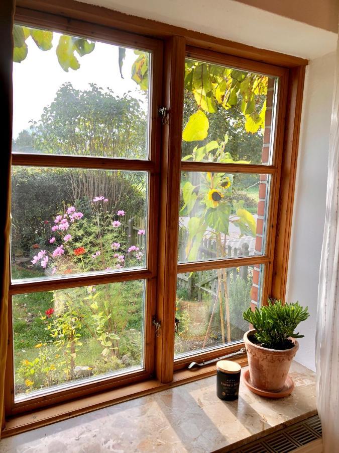 Gemuetliches Studio-Apartment In Ostseenaehe - Cosy Wulfi Probsteierhagen 外观 照片